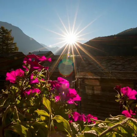 Apartament Am Biel *