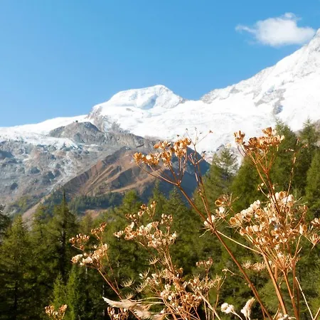 Am Biel 아파트 Saas Fee