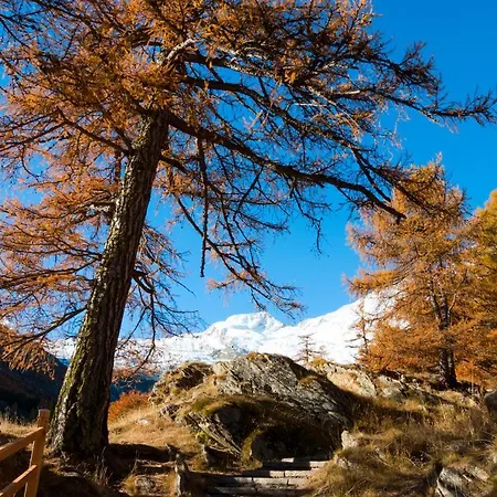 Am Biel * Saas Fee