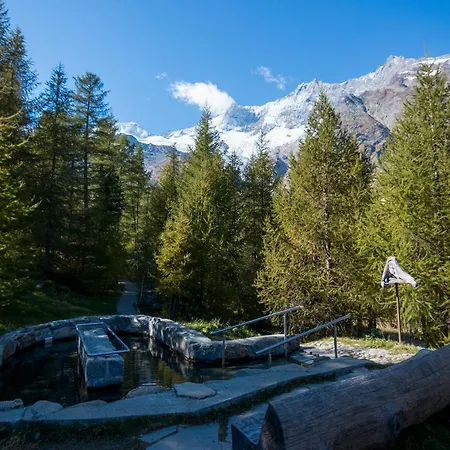 Am Biel Apartament *